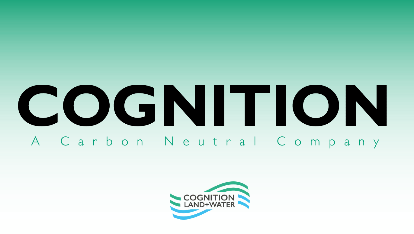 Cognition Land and Water&rsquo;s Brochure